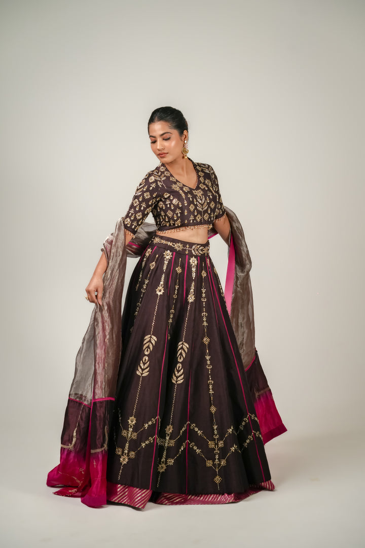 The Dagina | Brown-Pink Lehenga Set