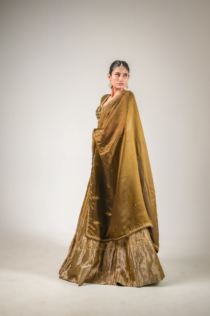 Lakeer | Olive Green Lehenga Set
