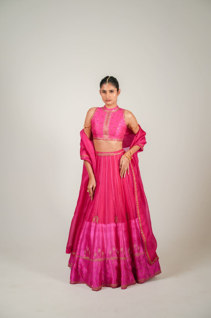 Lakeer| Pink Lehenga Set